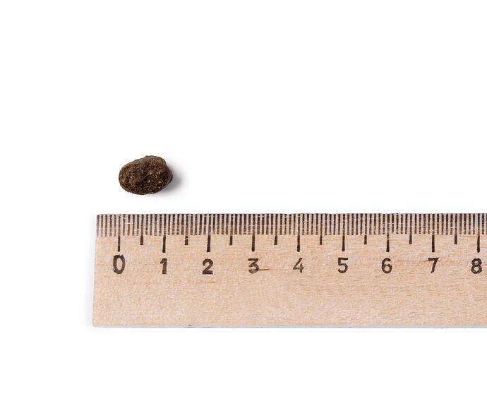 Belcando Finest GF Lamb