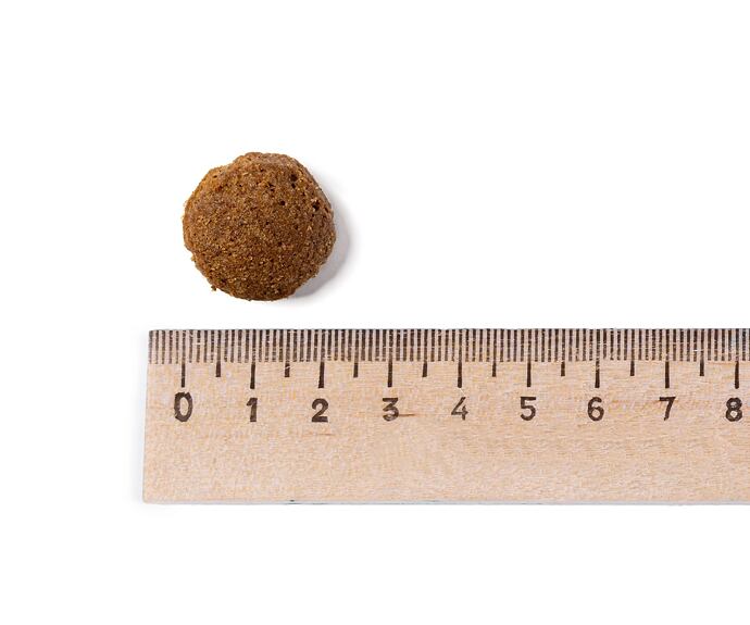 Best Breeder Adult Large Breed Chicken & Rice