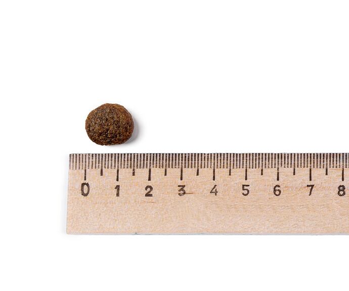 Best Breeder Grain Free Light Trout with Salmon, Sweet Potato & Asparagus