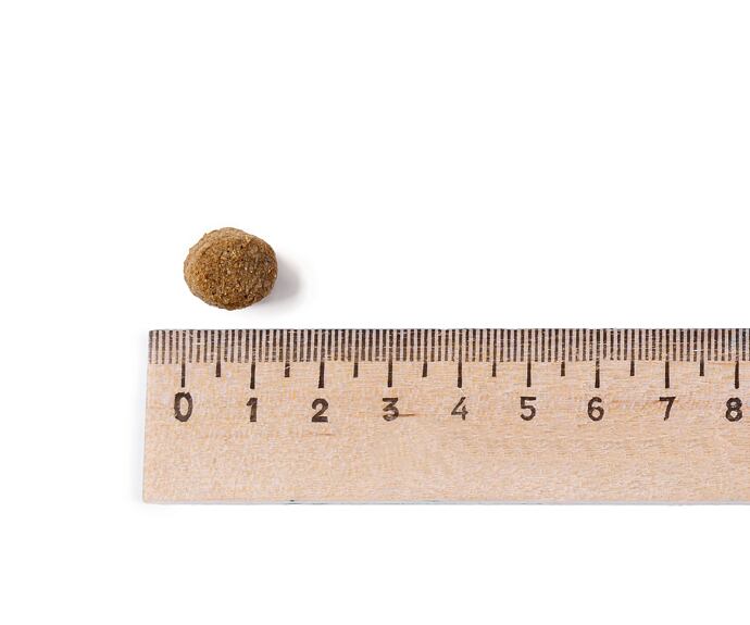 Best Breeder Senior / Light Fish & Rice