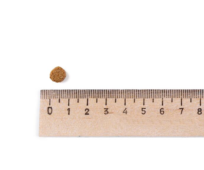 Best Breeder Adult Small Breed Chicken & Rice