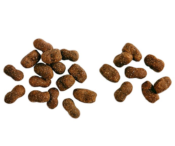 Belcando Baseline Young granule