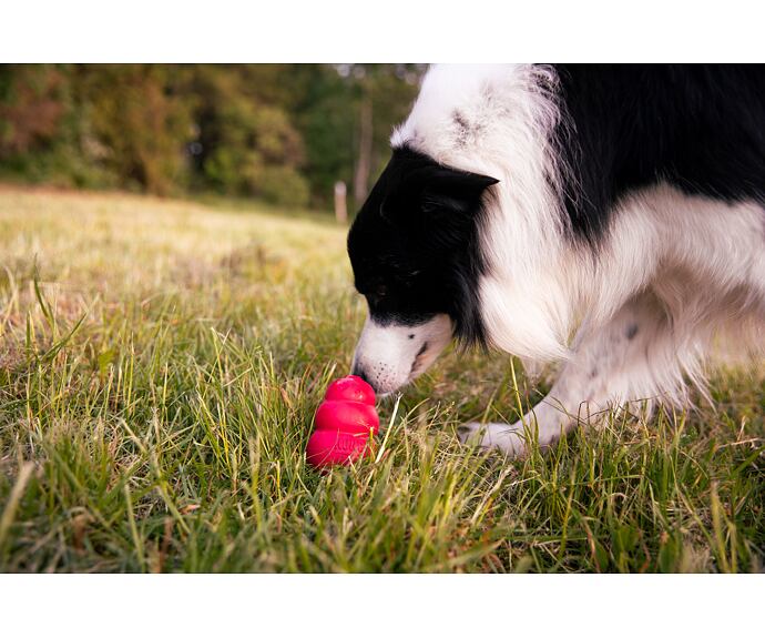 Kong pasta ve spreji - cheddar sýr - 226g