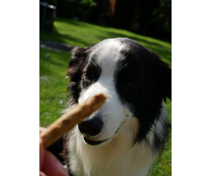 Mňamky pro parťáky - rybí s kokosem - 100 g