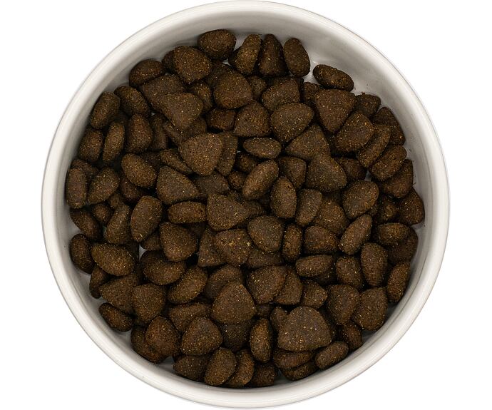 Best Breeder DELUXE Dog Scottish Salmon Light Adult