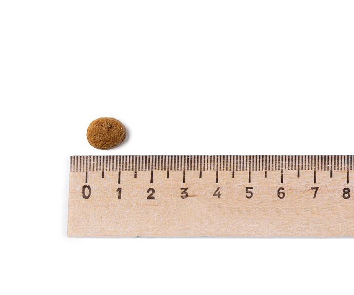 Best Breeder Adult Cat Chicken