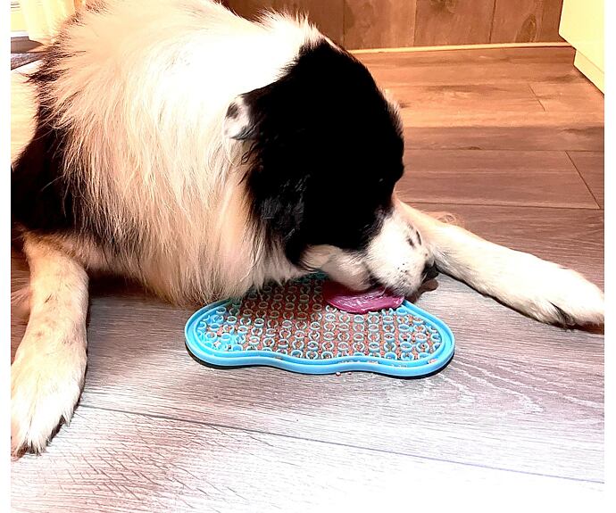 Lízací podložka Paw Lick Pad – oranžová