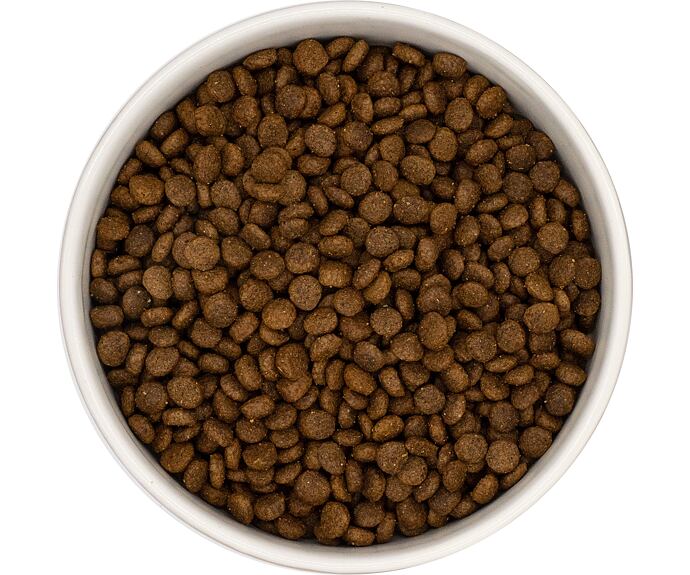 Best Breeder Grain Free Small Breed Duck with Sweet Potato & Orange