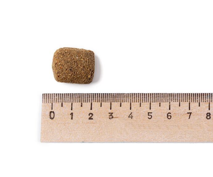 Belcando Adult Dinner