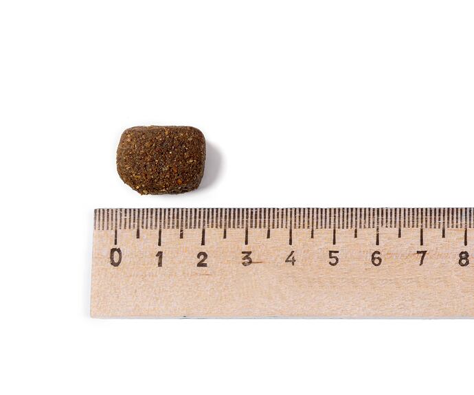 Belcando Adult Power