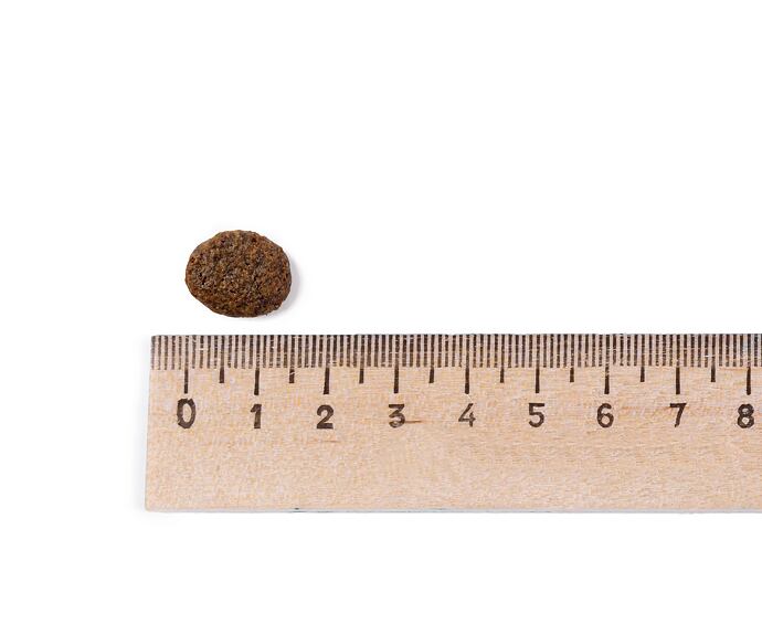 Best Breeder Grain Free Senior Trout with Salmon, Sweet Potato & Asparagus