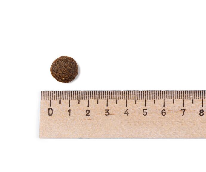 Best Breeder Grain Free Tuna with Salmon, Sweet Potato and Broccoli