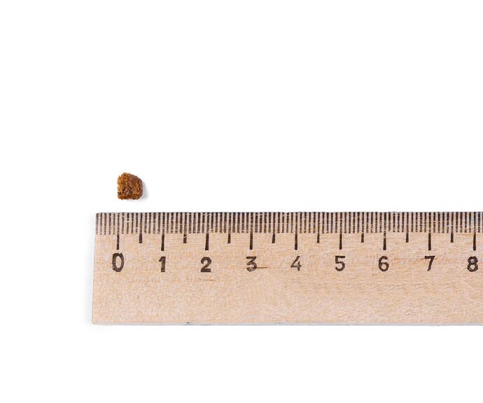 Leonardo KITTEN GRANULA-START