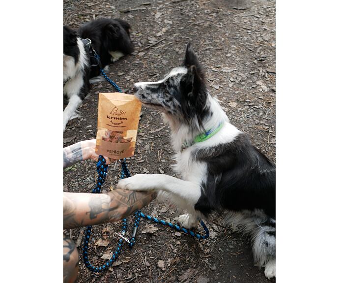 Mňamky pro parťáky - vepřové s kokosem - 100 g