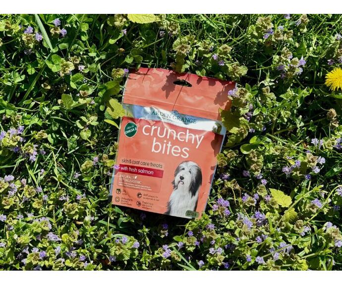 Zdravé pamlsky pro psy Arden