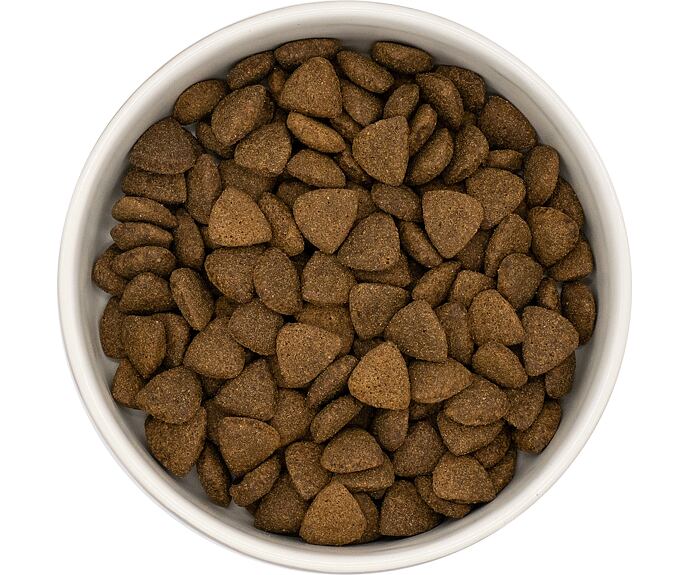 Best Breeder DELUXE Dog Angus Beef Adult