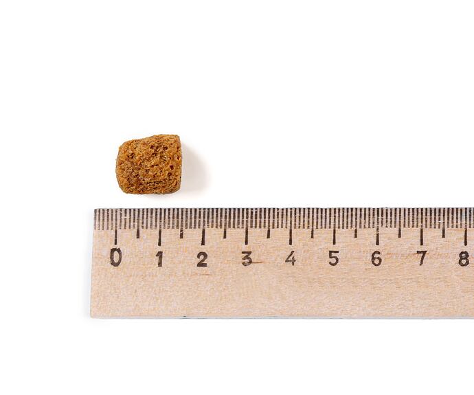 Best Breeder Adult Chicken & Rice