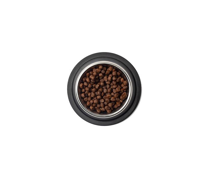 Best Breeder Grain Free Puppy Chicken with Sweet Potato, Carrots & Peas