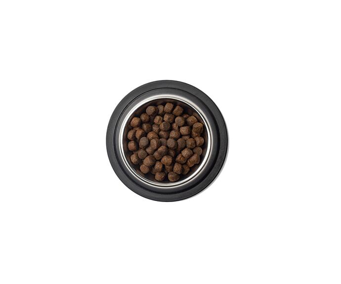 Best Breeder Grain Free Large Breed Puppy / Junior Salmon  (poškozený obal) EXPIRACE 30.6.2026