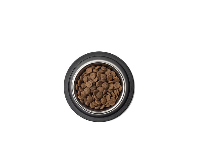 Best Breeder Grain Free Senior Turkey with Sweet Potato & Cranberry