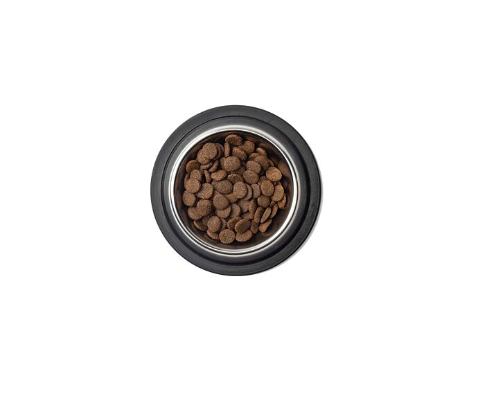 Best Breeder Grain Free Turkey, Sweet Potato & Cranberry