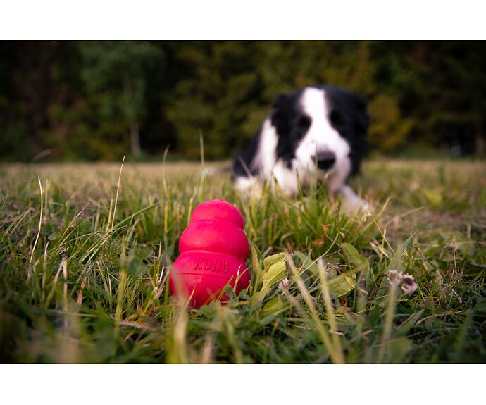 Hračka Kong Classic