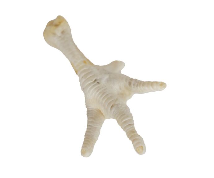 Kuřecí pařáty bílé