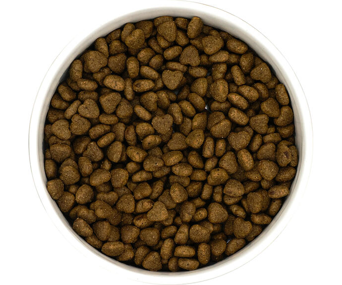 Best Breeder VET Cat Digestive Care