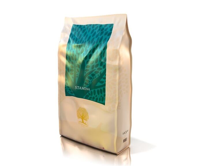 Essential Foods Stamina