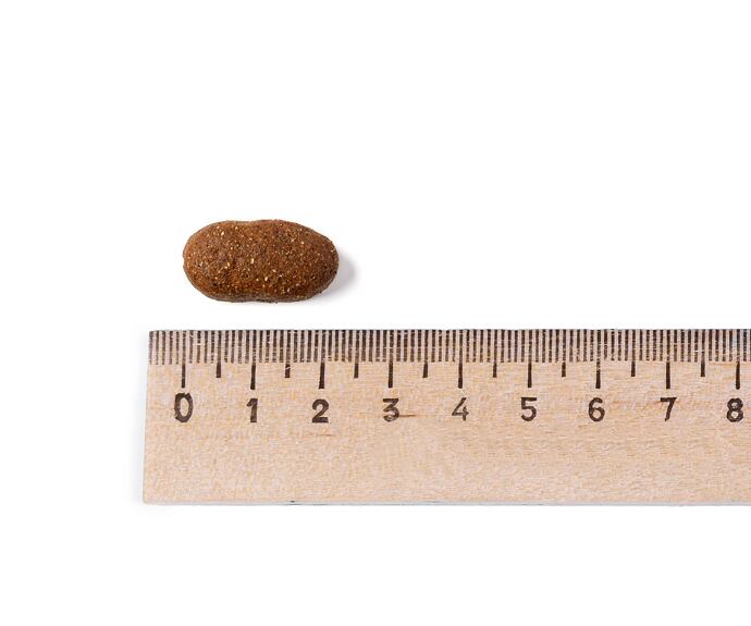 Belcando Adult GF Beef (poškozený obal) EXPIRACE 30.4.2027