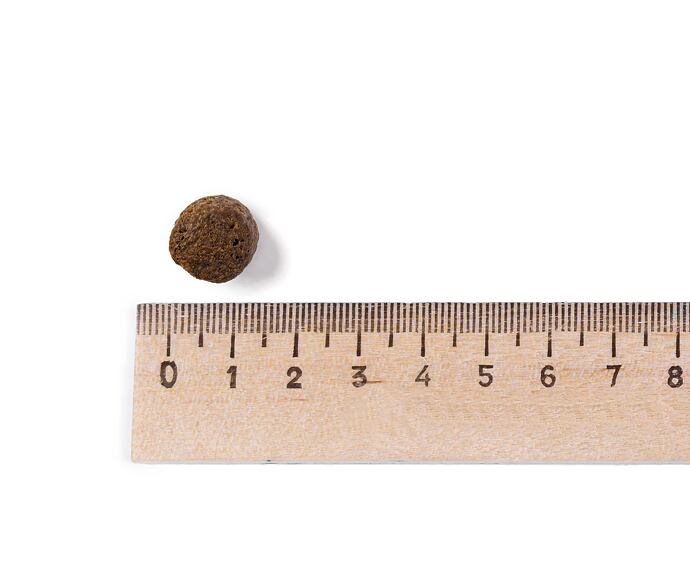 Best Breeder Grain Free Large Breed Puppy / Junior Salmon  (poškozený obal) EXPIRACE 30.6.2026