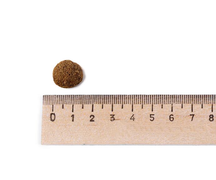 Best Breeder Grain Free Senior Turkey with Sweet Potato & Cranberry