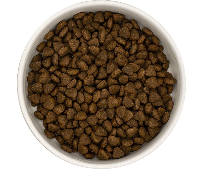 Best Breeder DELUXE Dog Free Range Turkey Puppy