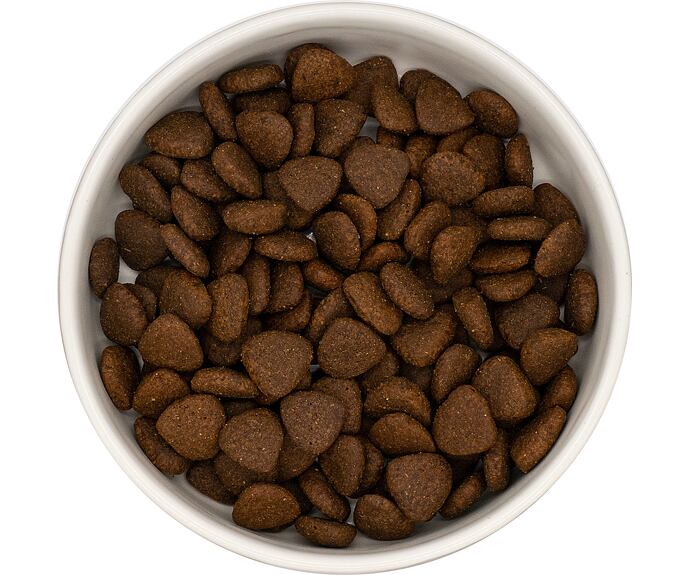 Best Breeder DELUXE Dog English Country Duck Adult