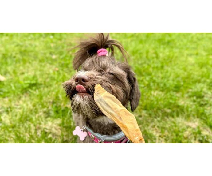 Sušené pamlsky králičí uši