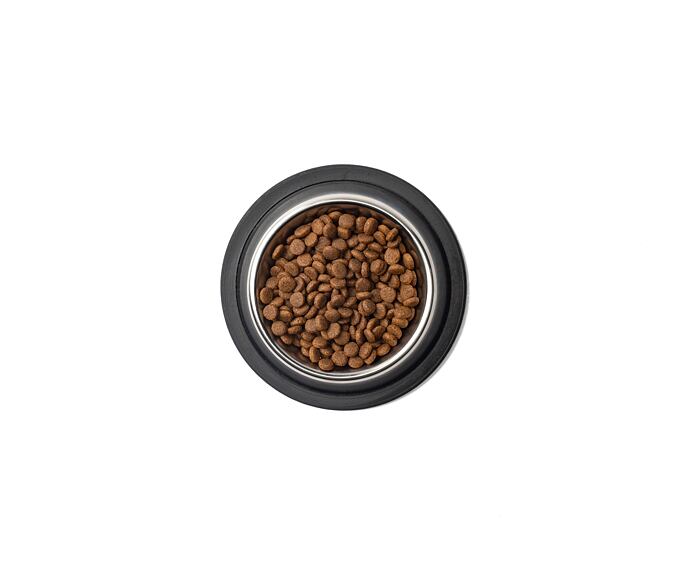 Best Breeder Grain Free Adult Cat Freshly Prepared Turkey