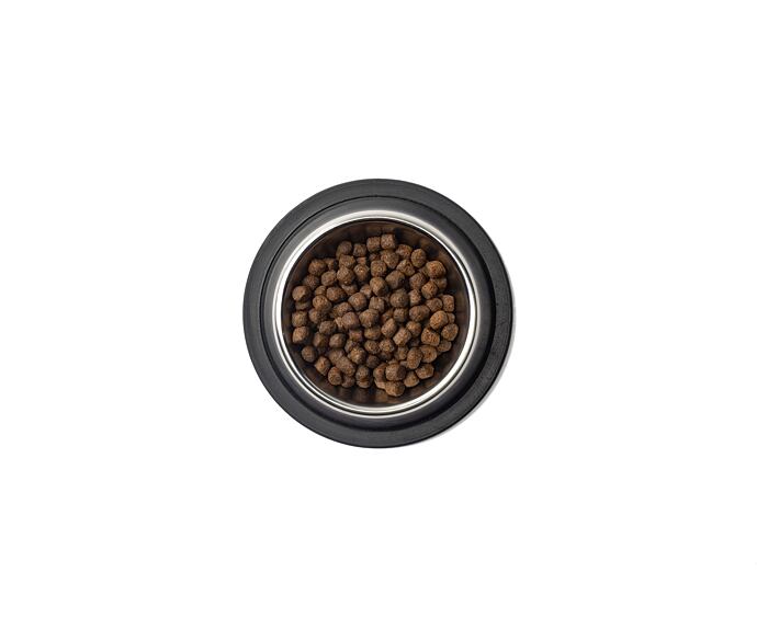 Best Breeder Grain Free Puppy Salmon with Haddock & Blue Whiting, Sweet Potato and Asparagus