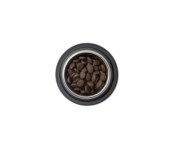 Best Breeder Large Breed Puppy Salmon & Potato