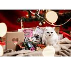 Vánoční balíček pro kočku