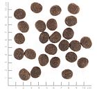 Wolfsblut VetLine Skin