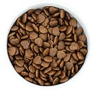 Best Breeder VET Gastrointestinal & Digestive Care