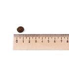 Belcando Finest Croc