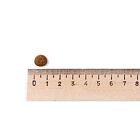 Best Breeder Grain Free Adult Cat Freshly Prepared Turkey