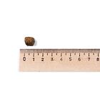 Best Breeder Grain Free Puppy Salmon with Haddock & Blue Whiting, Sweet Potato and Asparagus