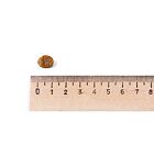 Leonardo Light rich in Chicken