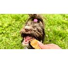 Sušené pamlsky jehněčí plíce