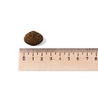 Best Breeder Adult Salmon & Potato