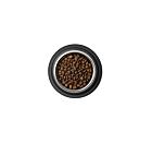 Best Breeder Grain Free Adult Cat Freshly Prepared Salmon