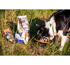 Cestovní balíček pro psy s přetahovacím lanem