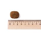 Belcando Adult GF Ocean